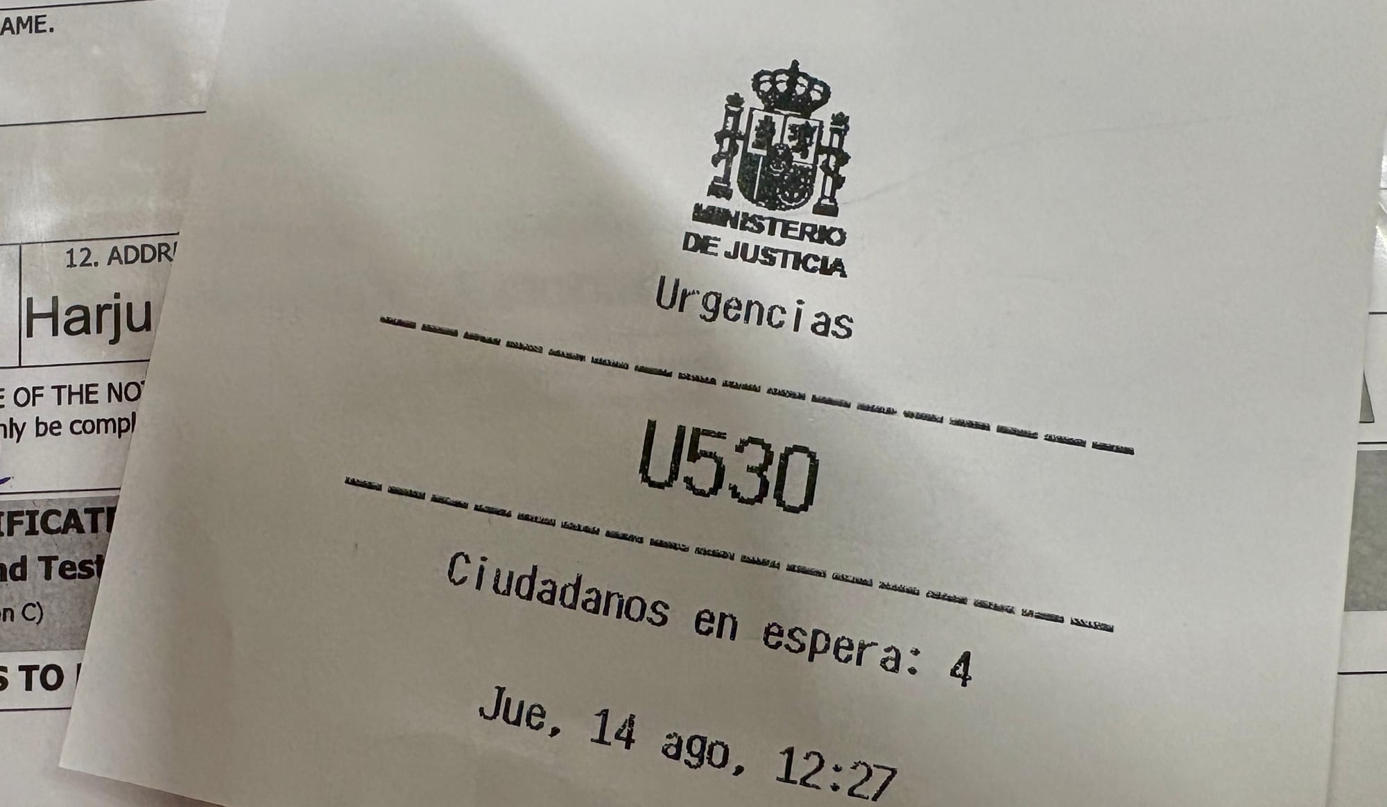 The Embarrassing Ordeal of Getting a Criminal Record in Spain